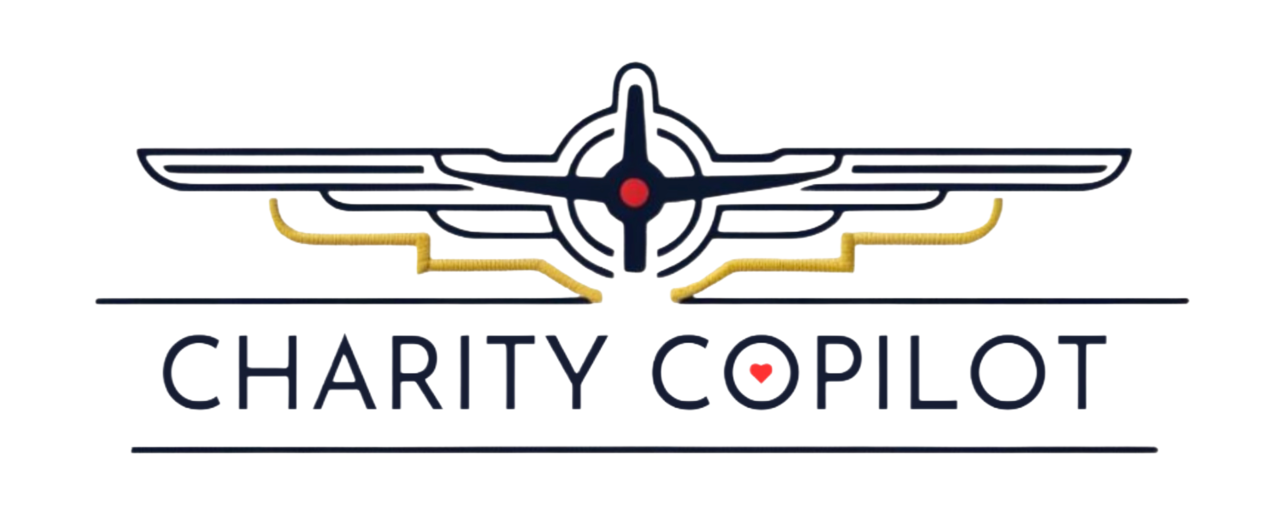 charity copilot